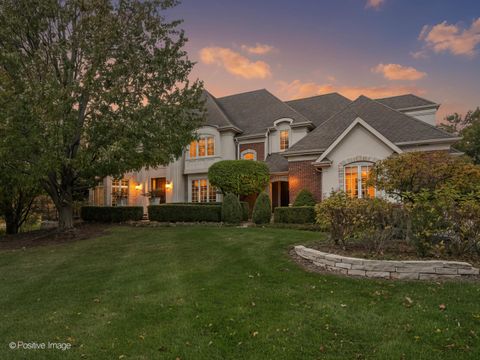 817 Lakeview Lane Burr Ridge IL 60527