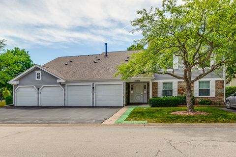 Photo of 225 Thornapple Court #225, Buffalo Grove, IL 60089 (MLS # 12536889)
