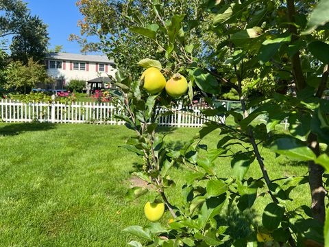 Tiny photo for 1045 Browning Lane, Lake Zurich, IL 60047 (MLS # 12570863)