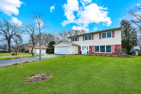 Tiny photo for 1045 Browning Lane, Lake Zurich, IL 60047 (MLS # 12570863)