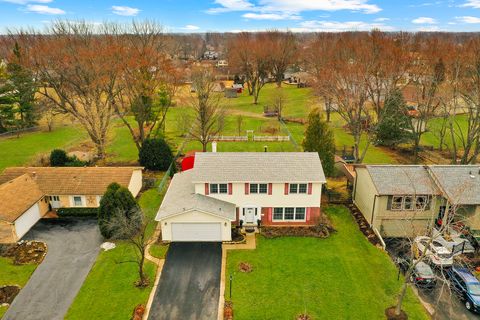 1045 Browning Lane Lake Zurich IL 60047