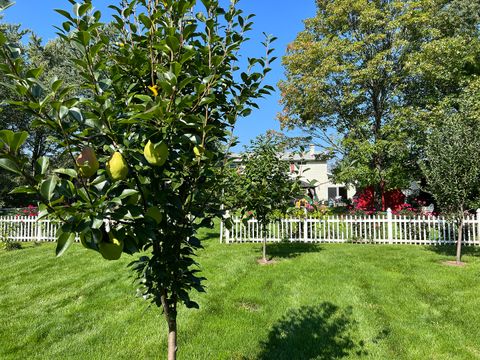 Tiny photo for 1045 Browning Lane, Lake Zurich, IL 60047 (MLS # 12570863)