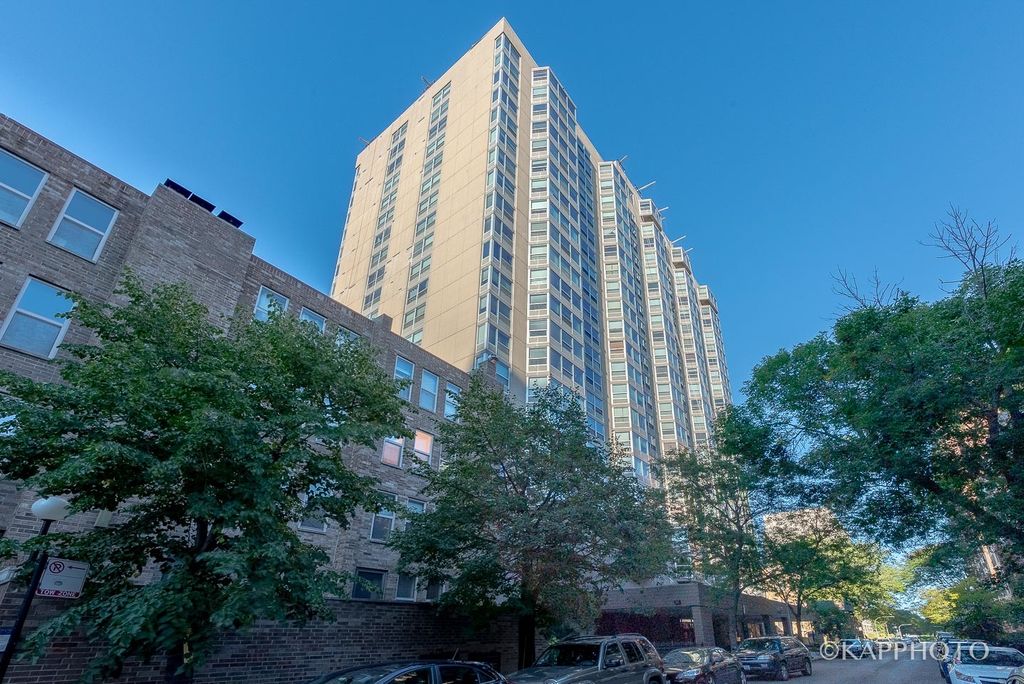 Photo for 720 W Gordon Terrace #3N, Chicago, IL 60613 (MLS # 12485274)
