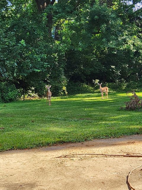 Tiny photo for 3525 Fair Avenue, Davenport, IA 52806 (MLS # 12583249)