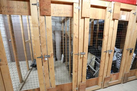 Tiny photo for 815 Leicester Road #109, Elk Grove Village, IL 60007 (MLS # 12548089)