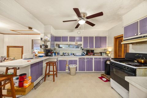 Tiny photo for Spring Valley, IL 61362 (MLS # 12609632)