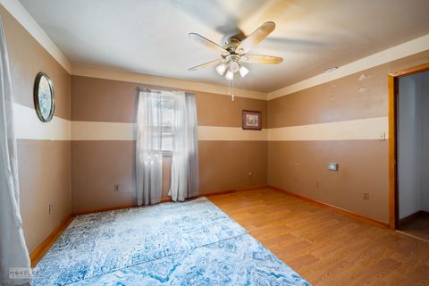 Tiny photo for 22419 S Joseph Avenue, Channahon, IL 60410 (MLS # 12443980)