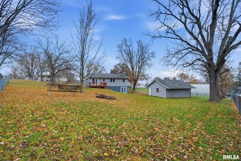 Tiny photo for 338 BENTON Street, Le Claire, IA 52753 (MLS # 12609336)
