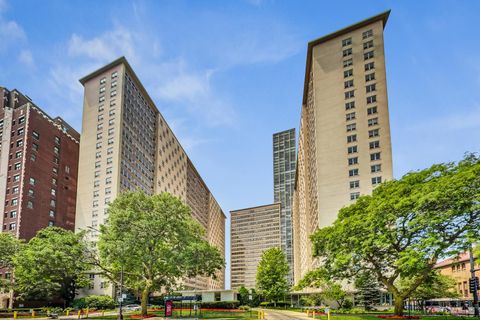 3950 N LAKE SHORE Drive 1411 Chicago IL 60613