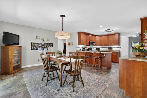 Tiny photo for 223 Willow Lane, Geneva, IL 60134 (MLS # 12647155)