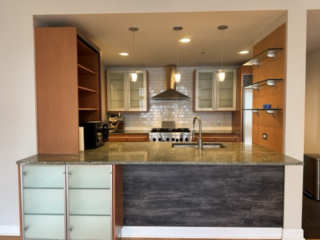 445 E North Water Street 1004