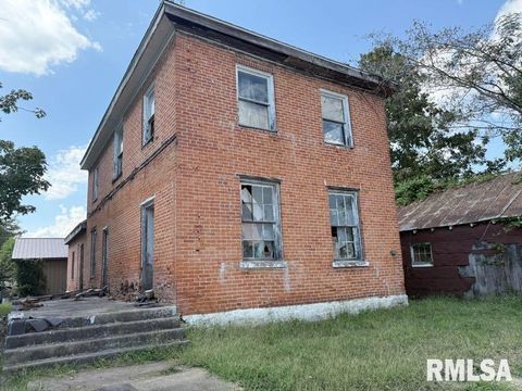 Tiny photo for 217 N MARKET Street, Golconda, IL 62938 (MLS # QC4268655)