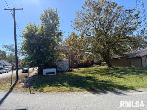 Tiny photo for 217 N MARKET Street, Golconda, IL 62938 (MLS # QC4268655)