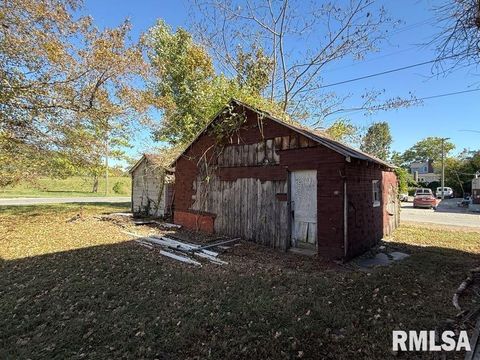 Tiny photo for 217 N MARKET Street, Golconda, IL 62938 (MLS # QC4268655)