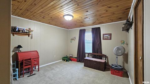 Tiny photo for 14228 Lake Of Egypt Road, Marion, IL 62959 (MLS # EB459900)