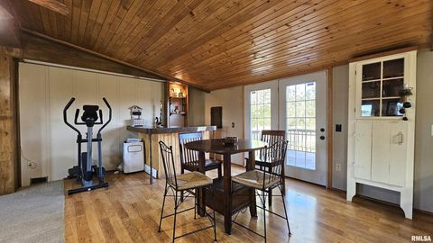 Tiny photo for 14228 Lake Of Egypt Road, Marion, IL 62959 (MLS # EB459900)