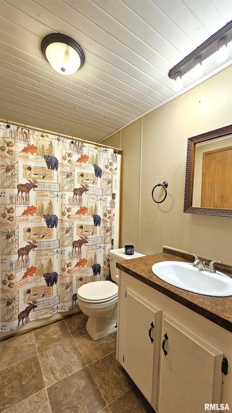 Tiny photo for 14228 Lake Of Egypt Road, Marion, IL 62959 (MLS # EB459900)