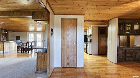 Tiny photo for 14228 Lake Of Egypt Road, Marion, IL 62959 (MLS # EB459900)