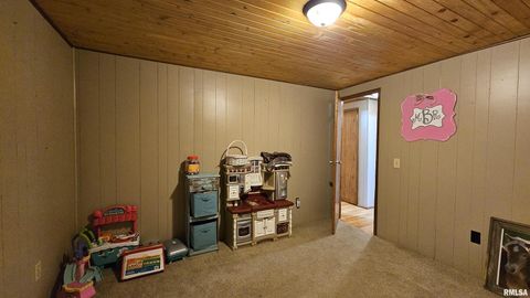 Tiny photo for 14228 Lake Of Egypt Road, Marion, IL 62959 (MLS # EB459900)