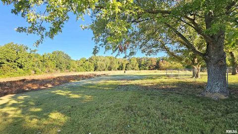 Tiny photo for 14228 Lake Of Egypt Road, Marion, IL 62959 (MLS # EB459900)