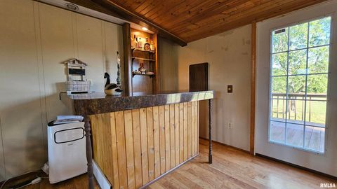 Tiny photo for 14228 Lake Of Egypt Road, Marion, IL 62959 (MLS # EB459900)