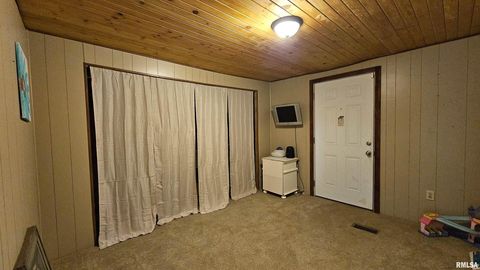 Tiny photo for 14228 Lake Of Egypt Road, Marion, IL 62959 (MLS # EB459900)