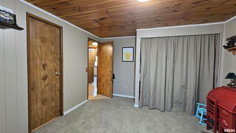 Tiny photo for 14228 Lake Of Egypt Road, Marion, IL 62959 (MLS # EB459900)