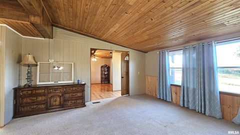 Tiny photo for 14228 Lake Of Egypt Road, Marion, IL 62959 (MLS # EB459900)