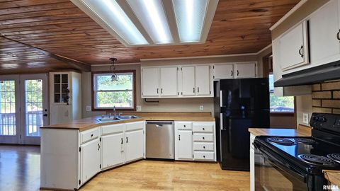 Tiny photo for 14228 Lake Of Egypt Road, Marion, IL 62959 (MLS # EB459900)