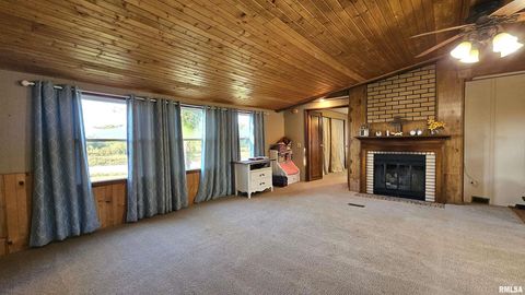 Tiny photo for 14228 Lake Of Egypt Road, Marion, IL 62959 (MLS # EB459900)