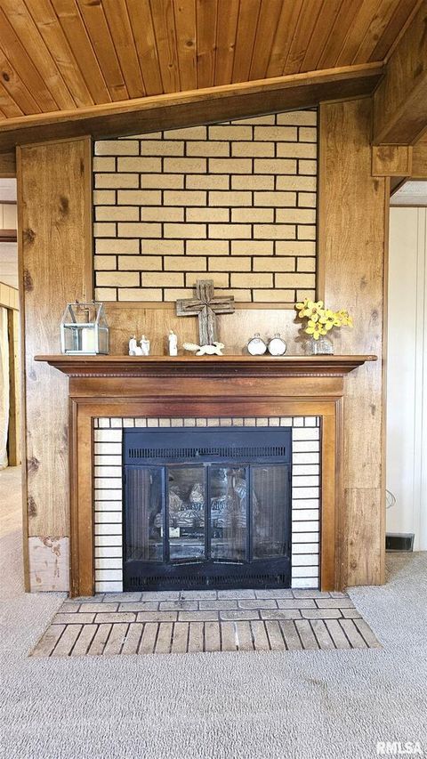 Tiny photo for 14228 Lake Of Egypt Road, Marion, IL 62959 (MLS # EB459900)