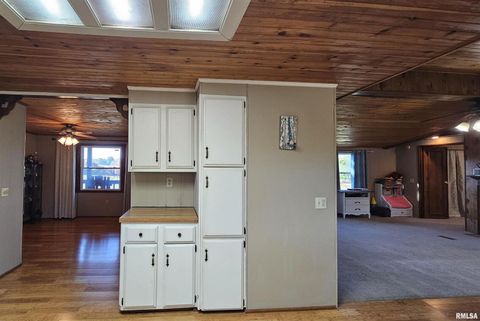 Tiny photo for 14228 Lake Of Egypt Road, Marion, IL 62959 (MLS # EB459900)