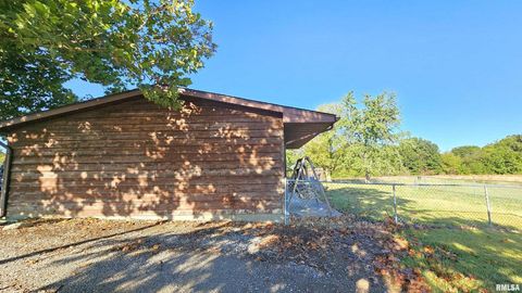 Tiny photo for 14228 Lake Of Egypt Road, Marion, IL 62959 (MLS # EB459900)