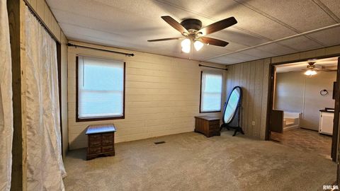 Tiny photo for 14228 Lake Of Egypt Road, Marion, IL 62959 (MLS # EB459900)