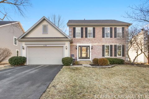 1135 Red Clover Drive Naperville IL 60564