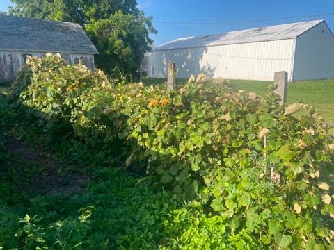 Tiny photo for 8268 Lyndon Road, Prophetstown, IL 61277 (MLS # 12693726)