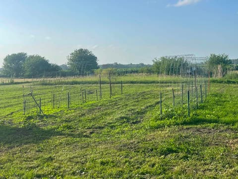 Tiny photo for 8268 Lyndon Road, Prophetstown, IL 61277 (MLS # 12693726)