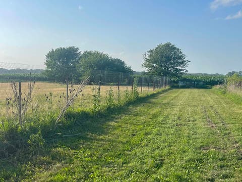 Tiny photo for 8268 Lyndon Road, Prophetstown, IL 61277 (MLS # 12693726)