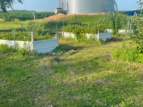 Tiny photo for 8268 Lyndon Road, Prophetstown, IL 61277 (MLS # 12693726)