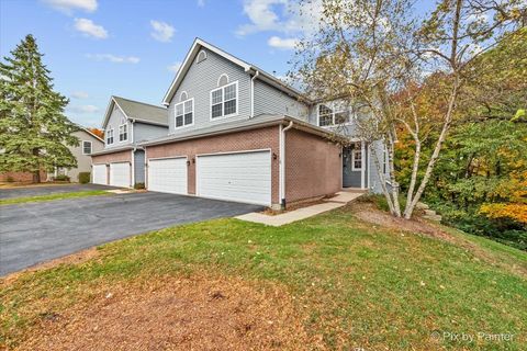 Tiny photo for 16 Brian Court, Algonquin, IL 60102 (MLS # 12505927)