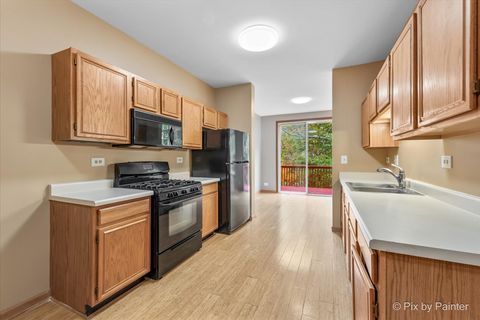 Tiny photo for 16 Brian Court, Algonquin, IL 60102 (MLS # 12505927)