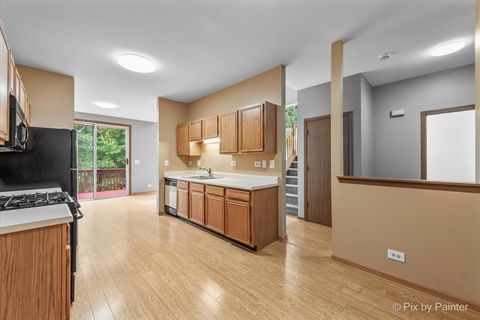 Tiny photo for 16 Brian Court, Algonquin, IL 60102 (MLS # 12505927)