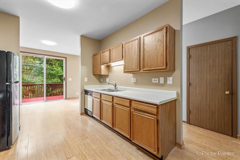 Tiny photo for 16 Brian Court, Algonquin, IL 60102 (MLS # 12505927)