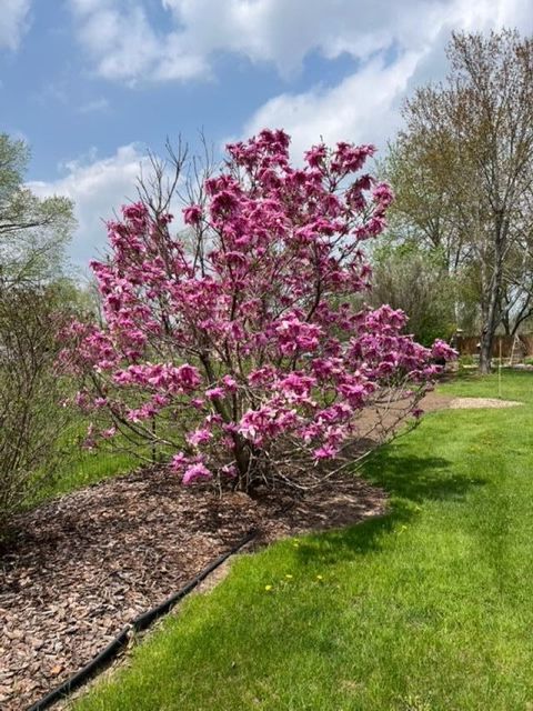 Tiny photo for 590 Brentwood Road, Machesney Park, IL 61115 (MLS # 12596483)