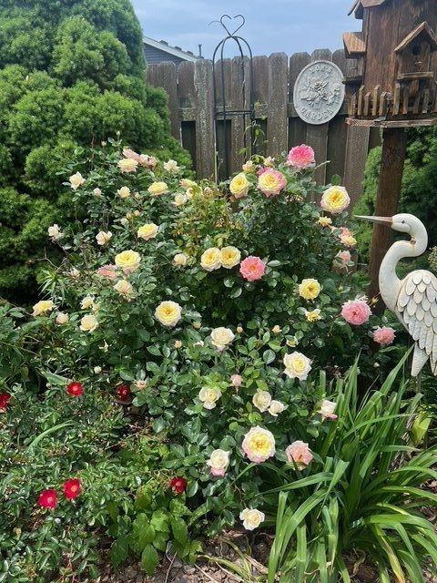 Tiny photo for 590 Brentwood Road, Machesney Park, IL 61115 (MLS # 12596483)