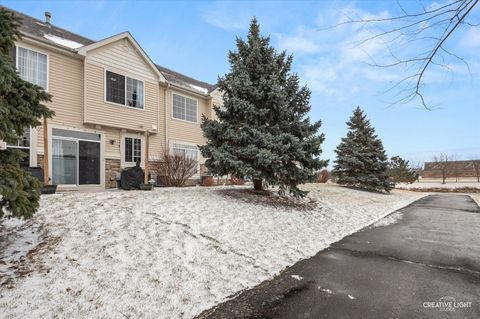 Tiny photo for 2205 Pembridge Lane, Joliet, IL 60431 (MLS # 12581225)