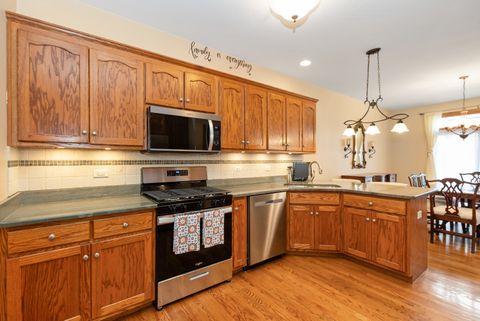 Tiny photo for 18714 Wren Circle, Mokena, IL 60448 (MLS # 12517056)
