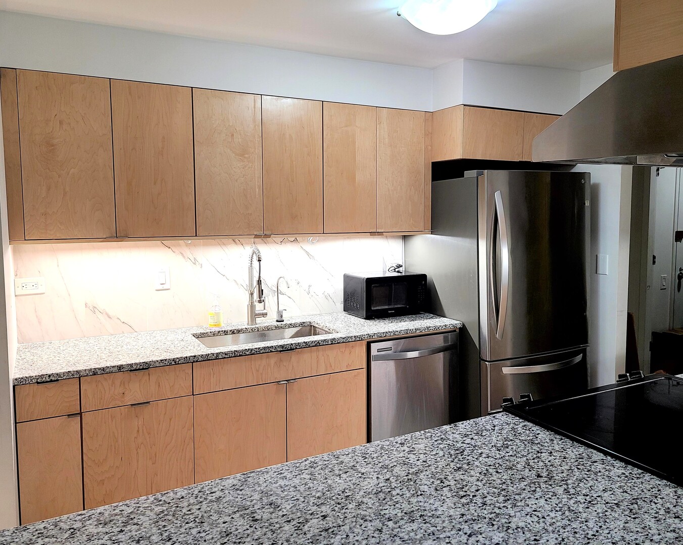 1115 S PLYMOUTH Court 303