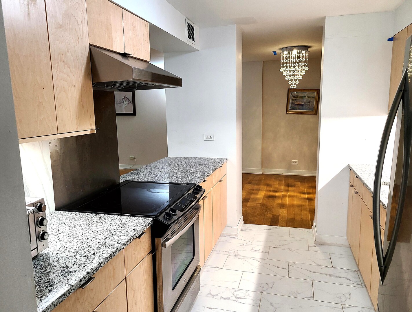 1115 S PLYMOUTH Court 303
