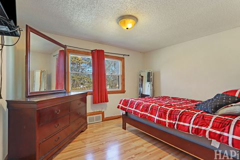 Tiny photo for 401 S Pierpont Avenue, Rockford, IL 61102 (MLS # 12571803)